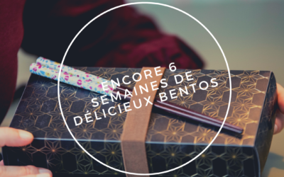 Encore 6 semaines à manger de délicieux bentos